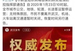 武汉爆料新消息最新消息,揭秘疫情下的城市动态与挑战